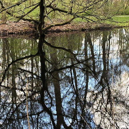 Medizinfotografie, Auftragsfotografie, Naturfotografie, Renate Schütz, Essen