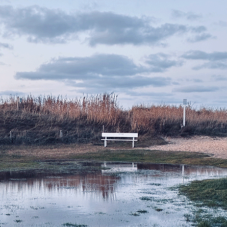 Medizinfotografie, Auftragsfotografie, Naturfotografie, Renate Schütz, Essen