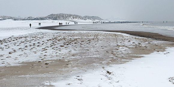 Medizinfotografie Auftragsfotografie Naturfotografie, bypass - Fotobüro Renate Schütz