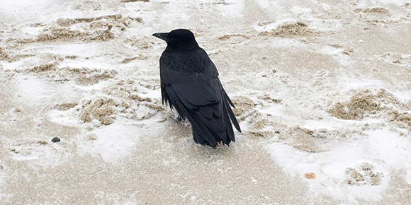 Medizinfotografie Auftragsfotografie Naturfotografie, bypass - Fotobüro Renate Schütz
