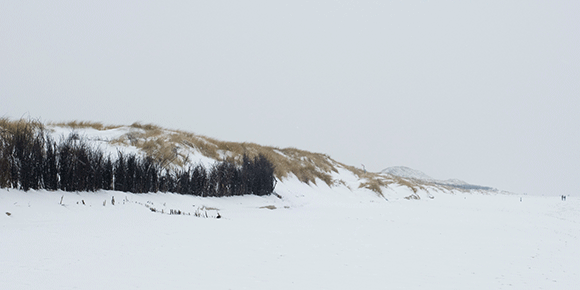 Medizinfotografie Auftragsfotografie Naturfotografie, bypass - Fotobüro Renate Schütz