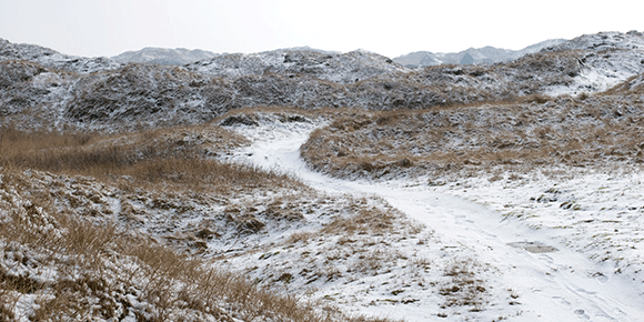 Medizinfotografie Auftragsfotografie Naturfotografie, bypass - Fotobüro Renate Schütz