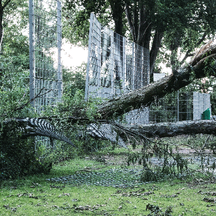 Medizinfotografie Auftragsfotografie Naturfotografie, bypass - Fotobüro Renate Schütz