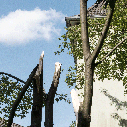 Medizinfotografie Auftragsfotografie Naturfotografie, bypass - Fotobüro Renate Schütz