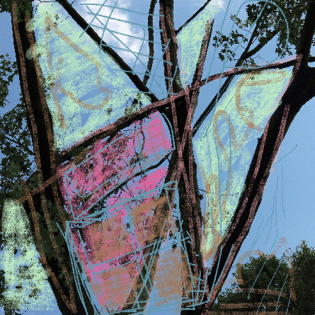 Medizinfotografie Auftragsfotografie Naturfotografie, bypass - Fotobüro Renate Schütz