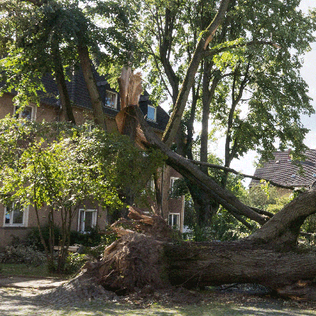 Medizinfotografie Auftragsfotografie Naturfotografie, bypass - Fotobüro Renate Schütz