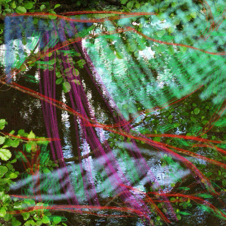 Medizinfotografie Auftragsfotografie Naturfotografie, bypass - Fotobüro Renate Schütz