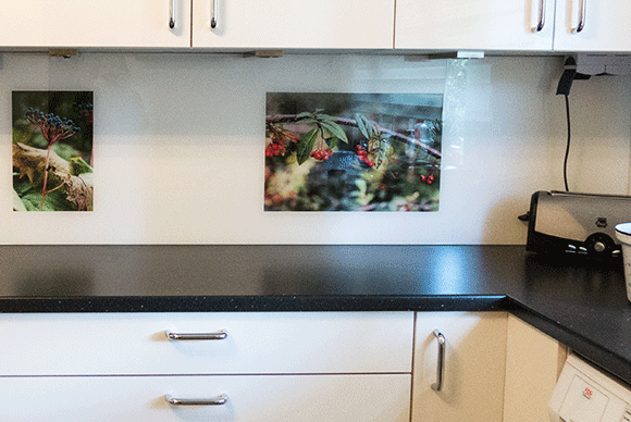 Medizinfotografie Auftragsfotografie Naturfotografie, bypass - Fotobüro Renate Schütz