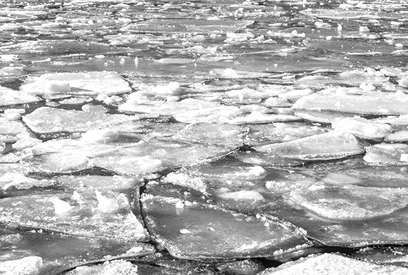 Medizinfotografie Auftragsfotografie Naturfotografie, bypass - Fotobüro Renate Schütz