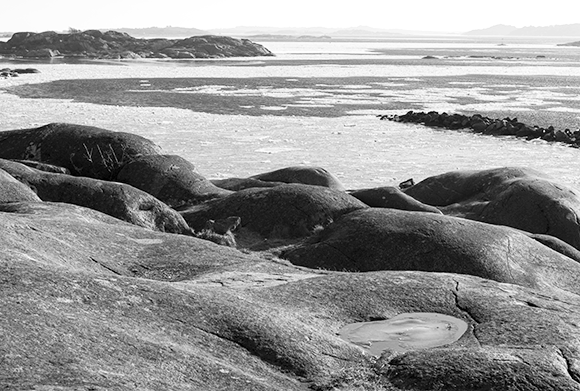 Medizinfotografie Auftragsfotografie Naturfotografie, bypass - Fotobüro Renate Schütz