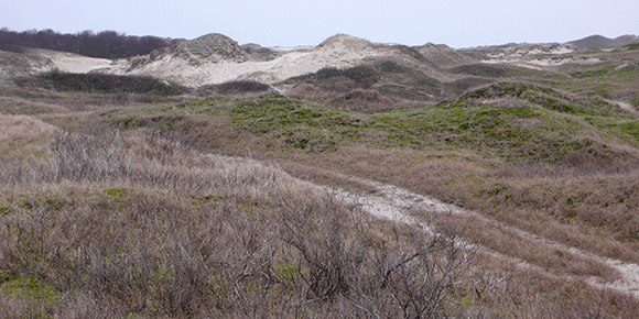 Medizinfotografie Auftragsfotografie Naturfotografie, bypass - Fotobüro Renate Schütz