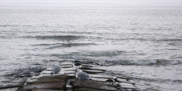 Medizinfotografie Auftragsfotografie Naturfotografie, bypass - Fotobüro Renate Schütz