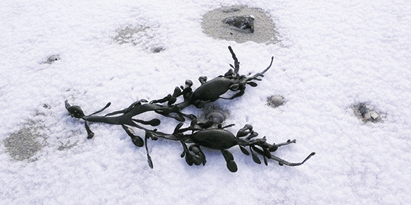 Medizinfotografie Auftragsfotografie Naturfotografie, bypass - Fotobüro Renate Schütz