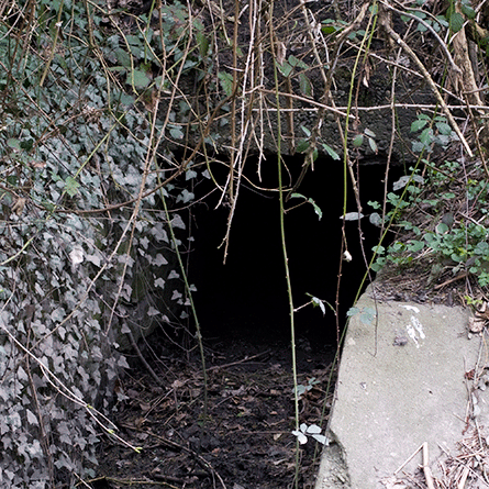 Medizinfotografie Auftragsfotografie Naturfotografie, bypass - Fotobüro Renate Schütz