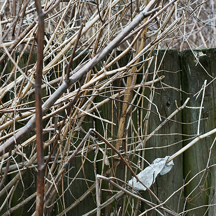 Medizinfotografie Auftragsfotografie Naturfotografie, bypass - Fotobüro Renate Schütz