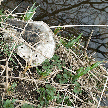 Medizinfotografie Auftragsfotografie Naturfotografie, bypass - Fotobüro Renate Schütz