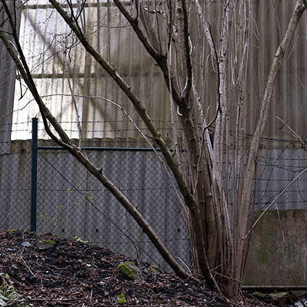 Medizinfotografie Auftragsfotografie Naturfotografie, bypass - Fotobüro Renate Schütz