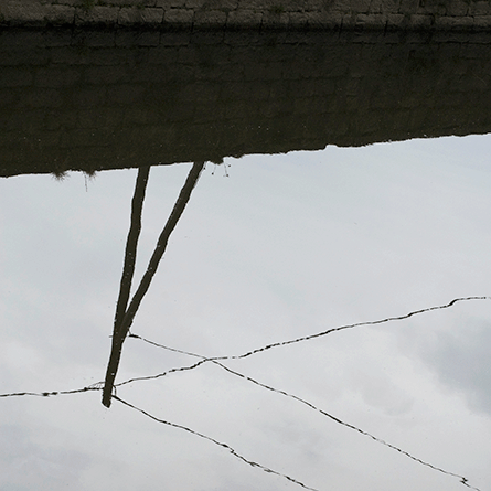 Medizinfotografie Auftragsfotografie Naturfotografie, bypass - Fotobüro Renate Schütz