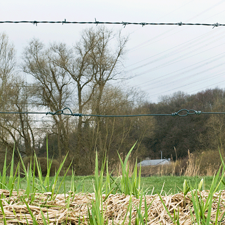 Medizinfotografie Auftragsfotografie Naturfotografie, bypass - Fotobüro Renate Schütz