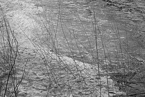 Medizinfotografie Auftragsfotografie Naturfotografie, bypass - Fotobüro Renate Schütz