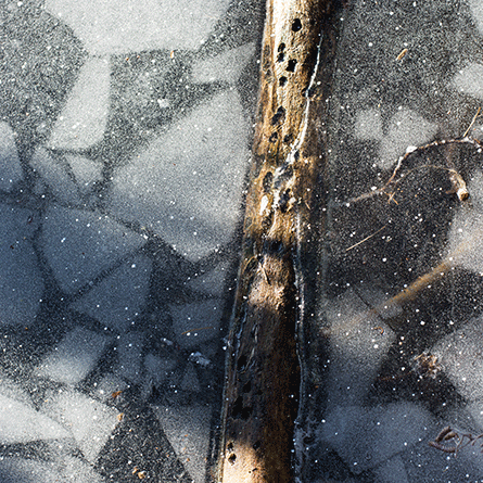 Medizinfotografie Auftragsfotografie Naturfotografie, bypass - Fotobüro Renate Schütz