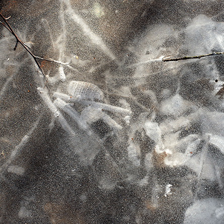 Medizinfotografie Auftragsfotografie Naturfotografie, bypass - Fotobüro Renate Schütz