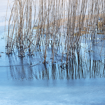 Medizinfotografie Auftragsfotografie Naturfotografie, bypass - Fotobüro Renate Schütz