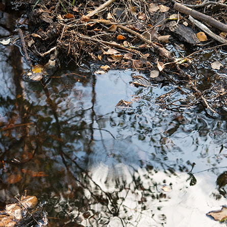 Medizinfotografie Auftragsfotografie Naturfotografie, bypass - Fotobüro Renate Schütz
