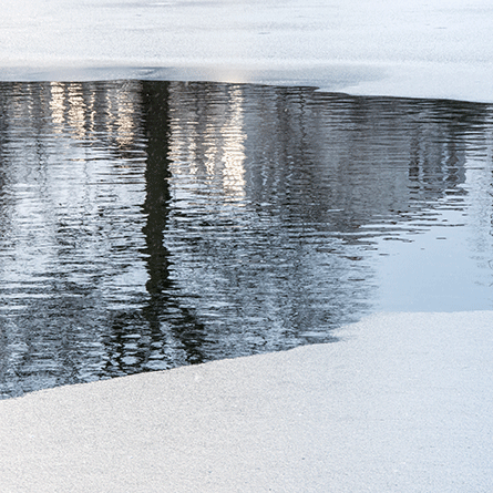 Medizinfotografie Auftragsfotografie Naturfotografie, bypass - Fotobüro Renate Schütz