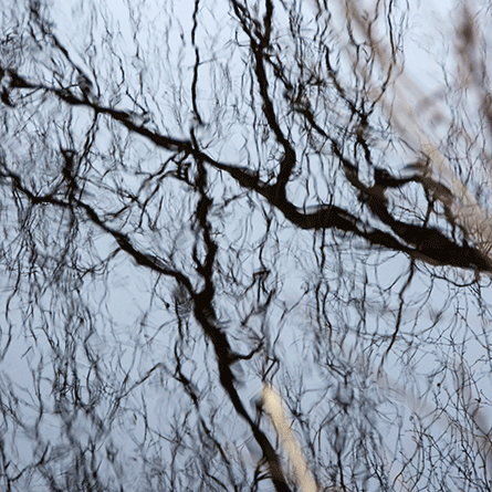 Medizinfotografie Auftragsfotografie Naturfotografie, bypass - Fotobüro Renate Schütz