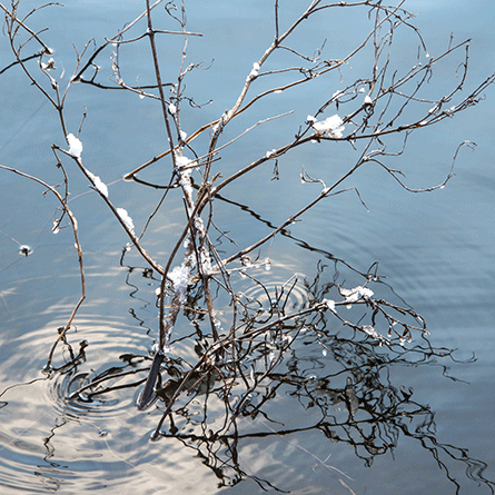 Medizinfotografie Auftragsfotografie Naturfotografie, bypass - Fotobüro Renate Schütz