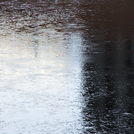 Medizinfotografie Auftragsfotografie Naturfotografie, bypass - Fotobüro Renate Schütz