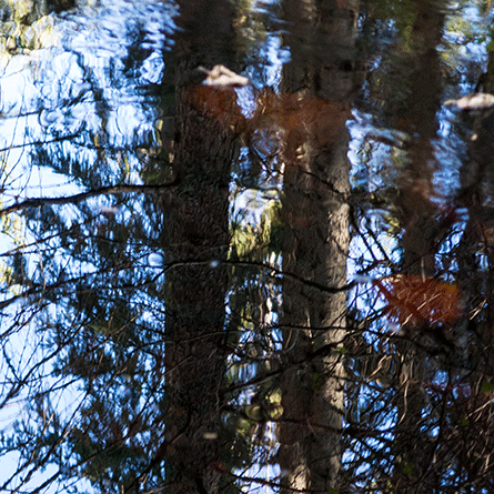 Medizinfotografie Auftragsfotografie Naturfotografie, bypass - Fotobüro Renate Schütz