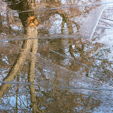 Medizinfotografie Auftragsfotografie Naturfotografie, bypass - Fotobüro Renate Schütz