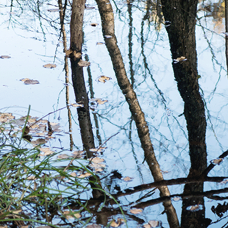 Medizinfotografie Auftragsfotografie Naturfotografie, bypass - Fotobüro Renate Schütz