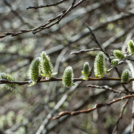 Medizinfotografie Auftragsfotografie Naturfotografie, bypass - Fotobüro Renate Schütz